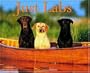 Just Labs