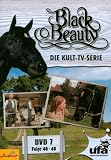 Black Beauty, Teil 07 - Judi Bowker