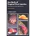 REU money books