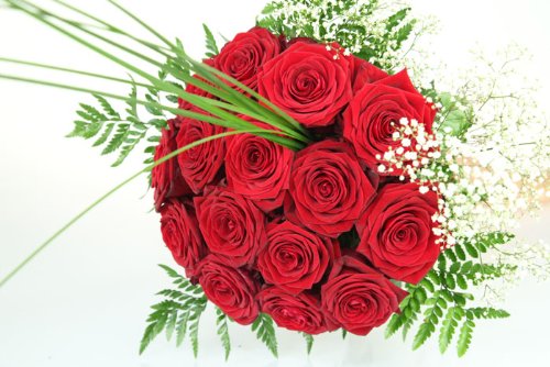 Blumenstrauß rot 14 Rosen