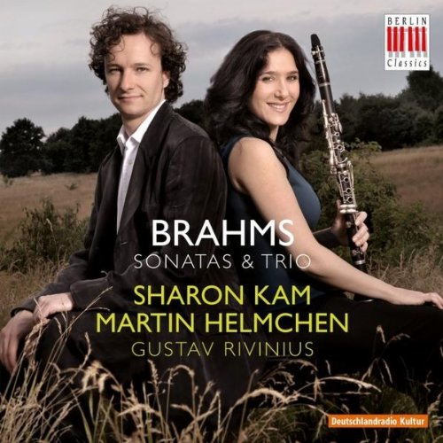 Trio for Piano, Clarinet and Violoncello in A Minor, Op. 114: 3. Andantino grazioso