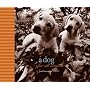 A Dog for All Seasons by Jim Dratfield