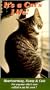 It's a Cats Life [VHS]