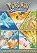 Pokemon Johto League Champions, Volume 1