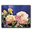 Golden Beauties - Gift Enclosure Cards (set of 12)