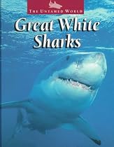 Great White Sharks (The Untamed World)
