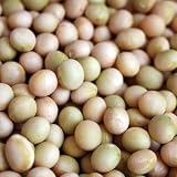 北海道十勝産 大豆「大袖の舞」500g