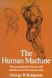 The Human Machine