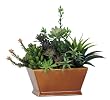 Artificial Succulent Garden in Rectangle Ceramic