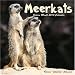 MEERKATS 2010 Wall Calendar #30418-10