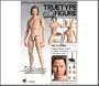 Sideshow Hot Toys TrueType Figure Body - Caucasian Narrow Shoulder Version 2 TTM-14 12" Figure