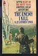 Enemy I Kill