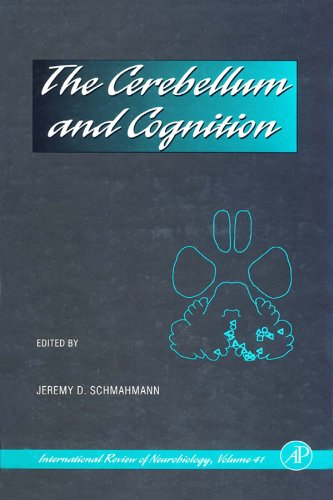 The Cerebellum and Cognition: 41 (International Review of Neurobiology)
