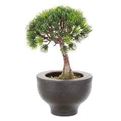 Kunstpflanze Bonsai Tannenst�mmchen, H�he 25 cm