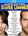 Silver Linings Playbook [Blu-ray]