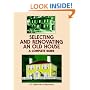 Selecting and Renovating an Old House: A Complete Guide