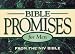 Bible Promises for Men from the Niv Bible (Bible Promises (Zondervan))