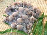ミミイカ 釣りエサ 300g 釣果抜群！！