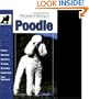 Guide to Owning a Poodle (Re Dog)
