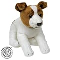 asthma friendly Jack Russell