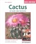 Cactus, Asi Seran Mas Hermosos