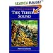 This Terrible Sound: THE BATTLE OF CHICKAMAUGA (Civil War Trilogy)