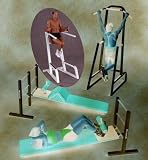 Maxicam Dip / Leg Raise
