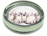 SNOWSHOE KITTENS-SNOW SHOE GIFTS Glass Paper Weight