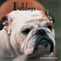 Bulldogs 2008 Wall Calendar
