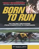 The Born to Run: Racing Greyhound, from Competitor to Companion