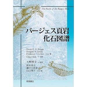 �o�[�W�F�X�Ŋ� ���ΐ}��