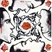 red hot chilli peppers
