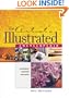 The Artist's Illustrated Encyclopedia: Techniques, Materials and Terms