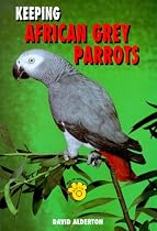 Keeping African Grey Parrots