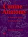 Canine Anatomy: A Systematic Study