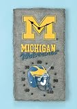 Michigan Wolverines Clock Thermometer 18 Clock Thermometer-U Of Michigan - NCAA College Athletics F