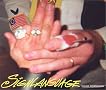 SignLanguage SignLanguage