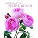 Meine Rosen