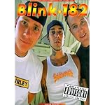 Blink 182 book cover