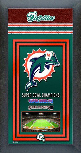 Miami Dolphins Super Bowl Framed Team Championship Series