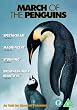 March of the Penguins - Luc Jacquet [DVD] [2005]