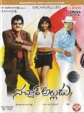 Nachavalludu Telugu Movie