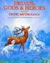 Druids, Gods & Heroes from Celtic Mythology (World Mythology Series)