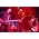 Thumbnail image of The Jealous Sound