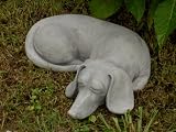 Skippy the Dachshund
