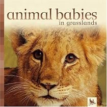 Animal Babies in Grasslands
