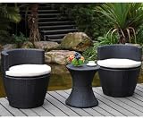2 Chairs with centre table