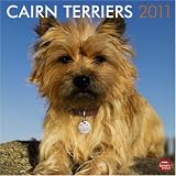 Cairn Terriers 2011 Square 12X12 Wall Calendar