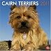 Cairn Terriers 2011 Square 12X12 Wall Calendar