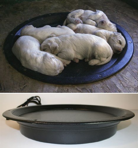 HEATED WHELPING NEST by Lovett's Electronics